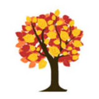 Fast Growing Trees coupons